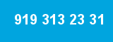 919 313 23 31 919 313 23 31